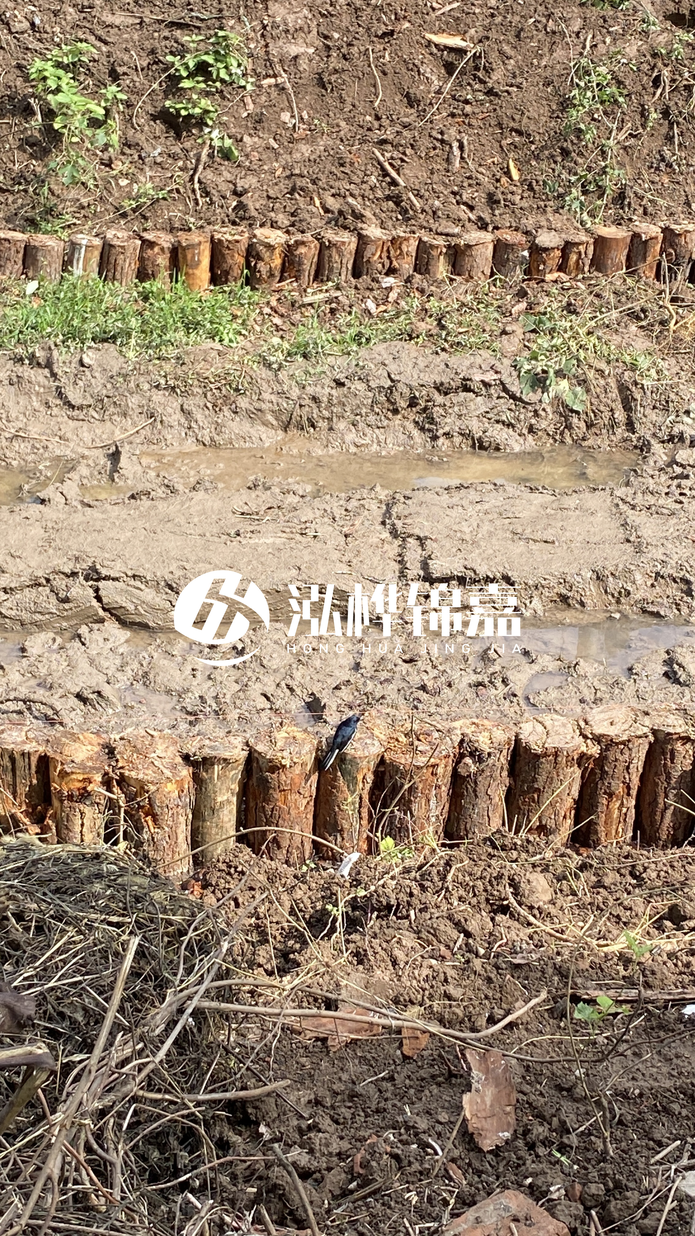 寧波河道清淤專(zhuān)業(yè)施工-治理河道對(duì)于老百姓有什么意義？