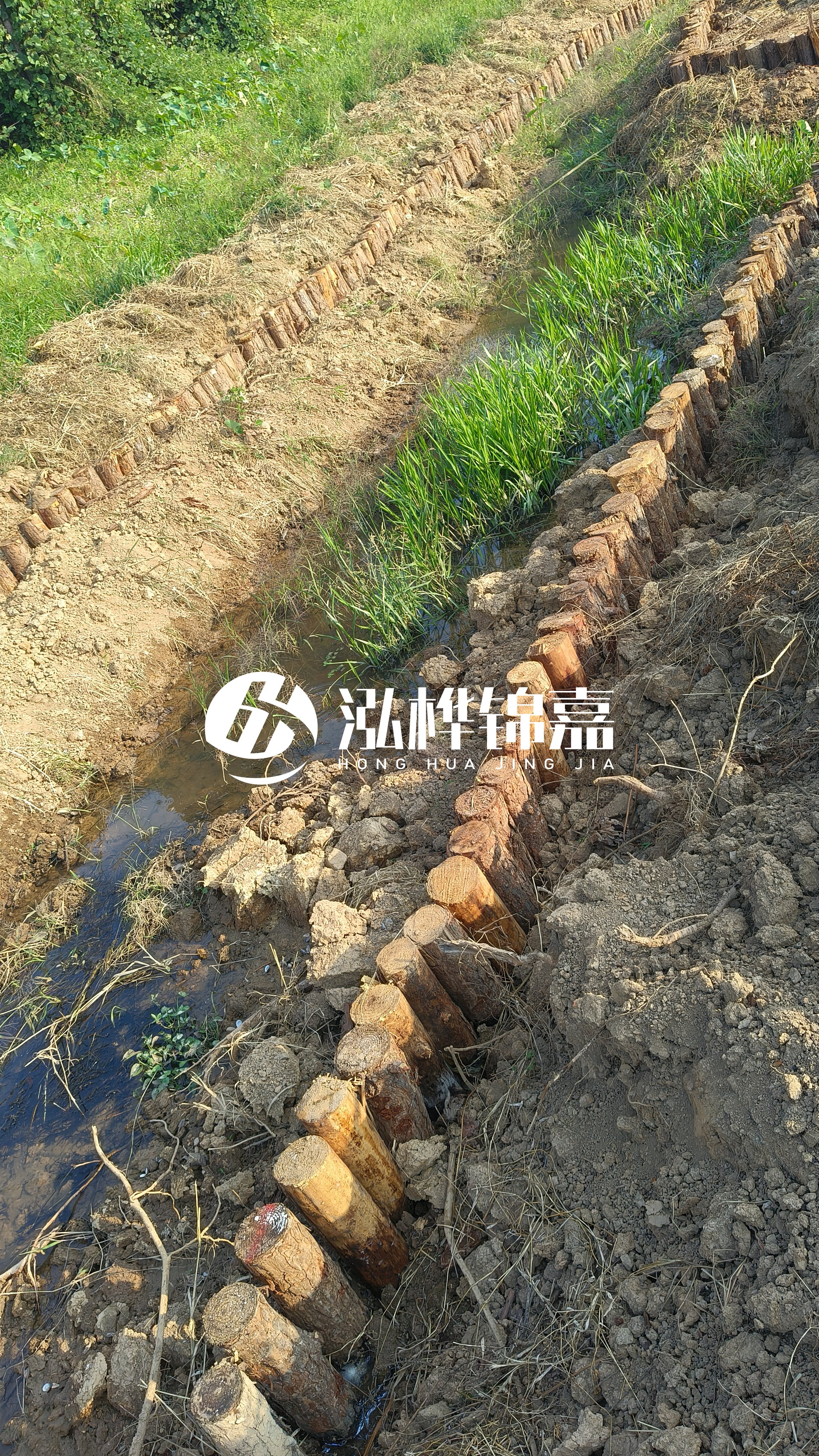 舟山挖機(jī)打木樁專業(yè)施工-打防汛木樁的選址有什么講究？