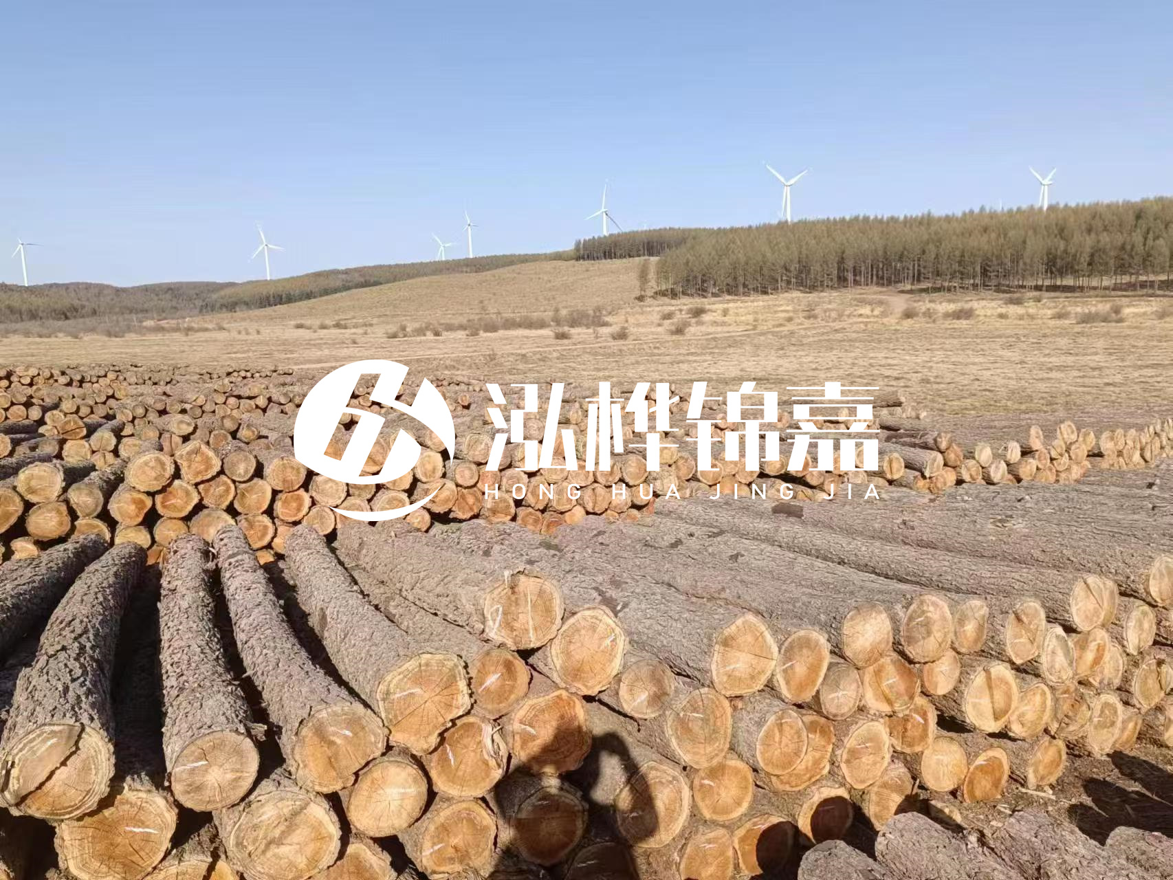 咸寧松木樁源頭廠家-哪里能買到質(zhì)量好的松木樁打樁木？