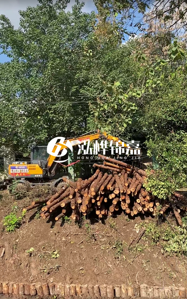 隨州松木樁源頭廠家-杉木樁打樁木的價格比松木樁貴嗎？