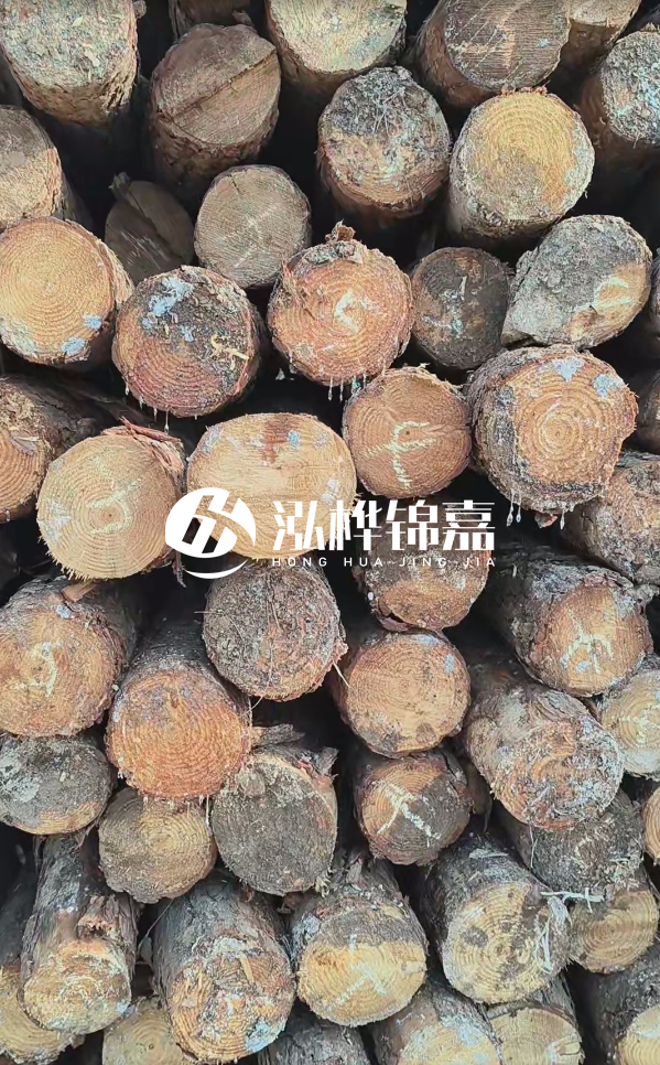 邵陽松木樁源頭廠家-松木樁護岸適合哪些地理環(huán)境？