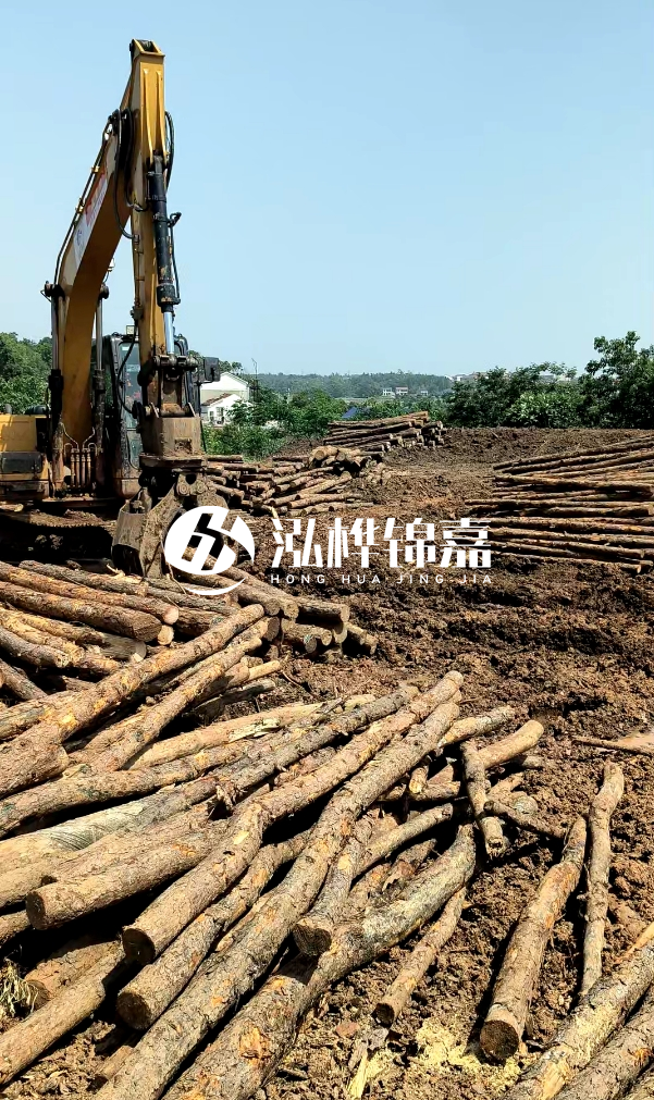 江門松木樁源頭廠家-河道木樁的防腐處理有哪些方法？