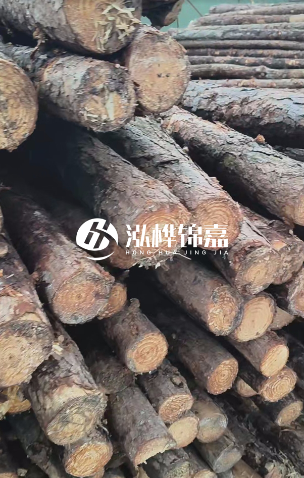 汕尾松木樁源頭廠家-松木樁在水中的耐久性如何？