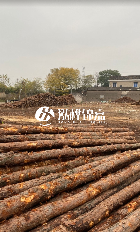 欽州松木樁源頭廠家-松木樁河道治理相比其他材料有何優(yōu)勢？