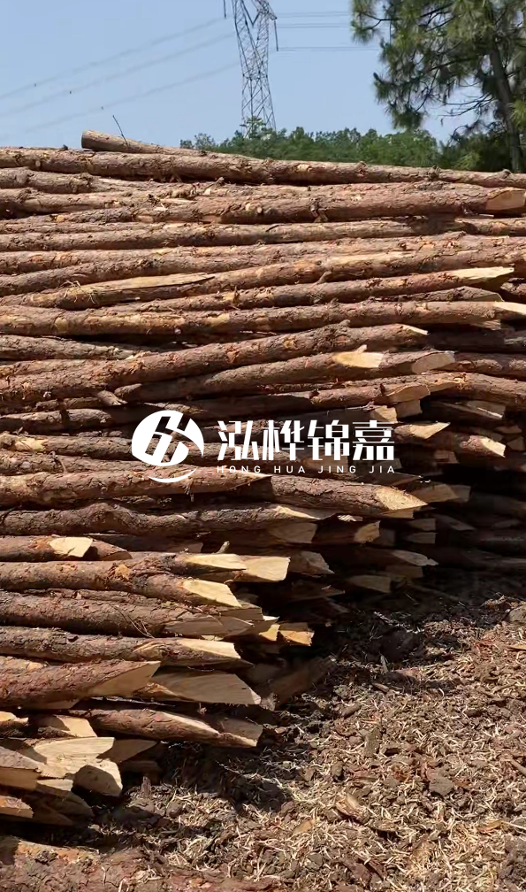 銅仁市挖機(jī)打木樁專業(yè)施工-河道松木樁水面需要預(yù)留多少？