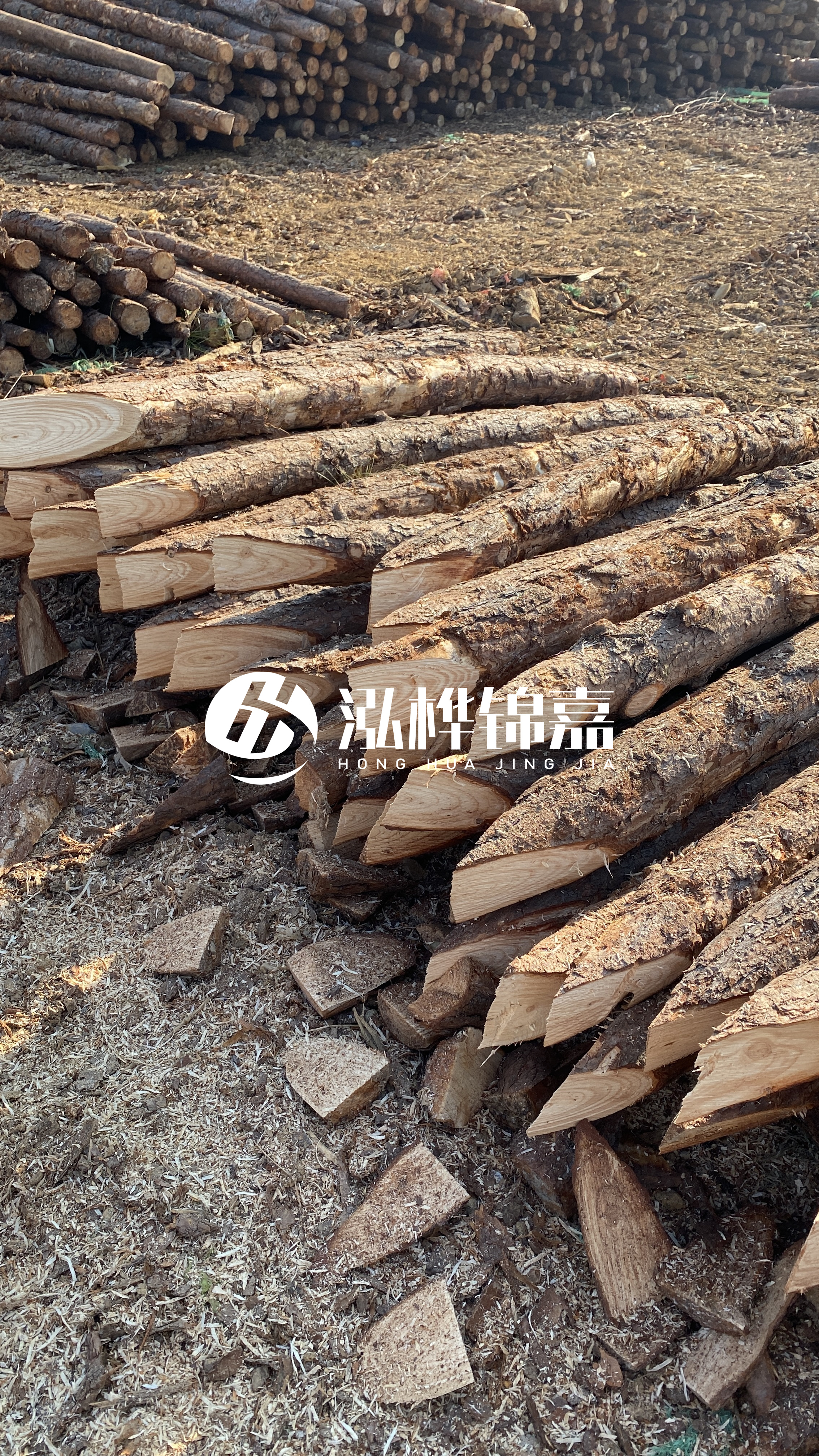 昭通松木樁源頭廠家-打樁木樁有什么用？