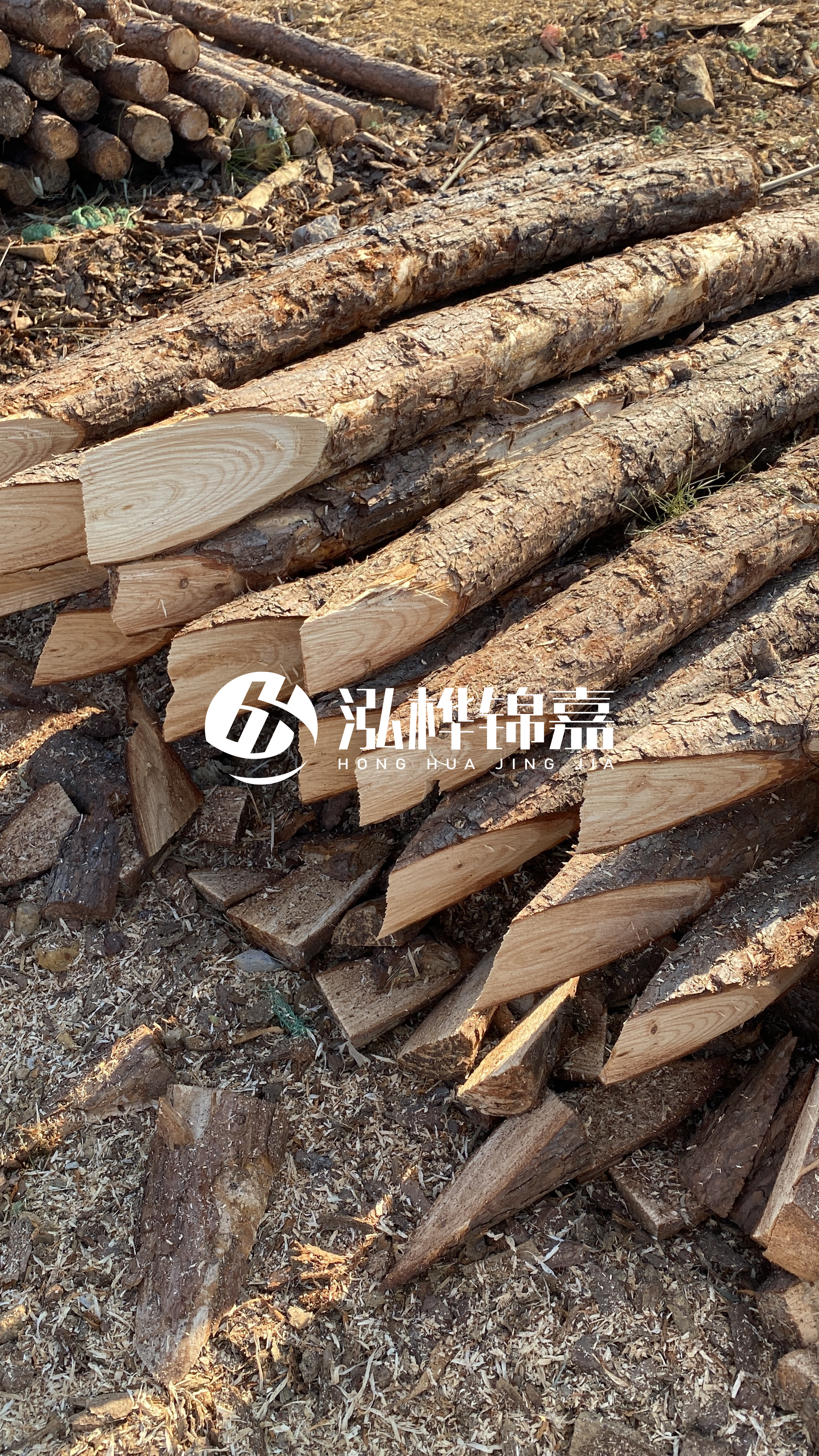 渭南松木樁批發(fā)源頭廠家-杉木樁4米小頭12公分大頭是多少？