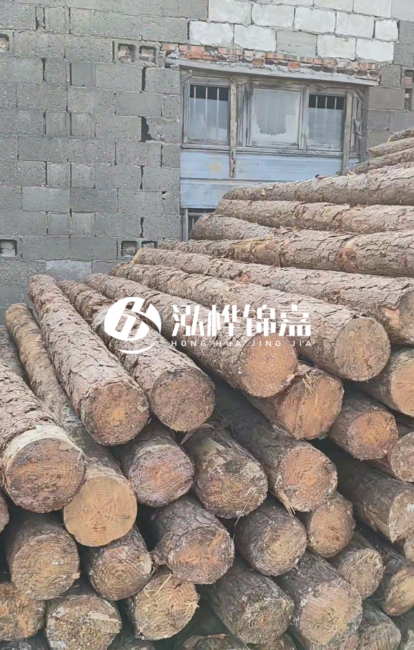 2025最新松木樁價(jià)格揭秘：松木樁一方到底多少錢？