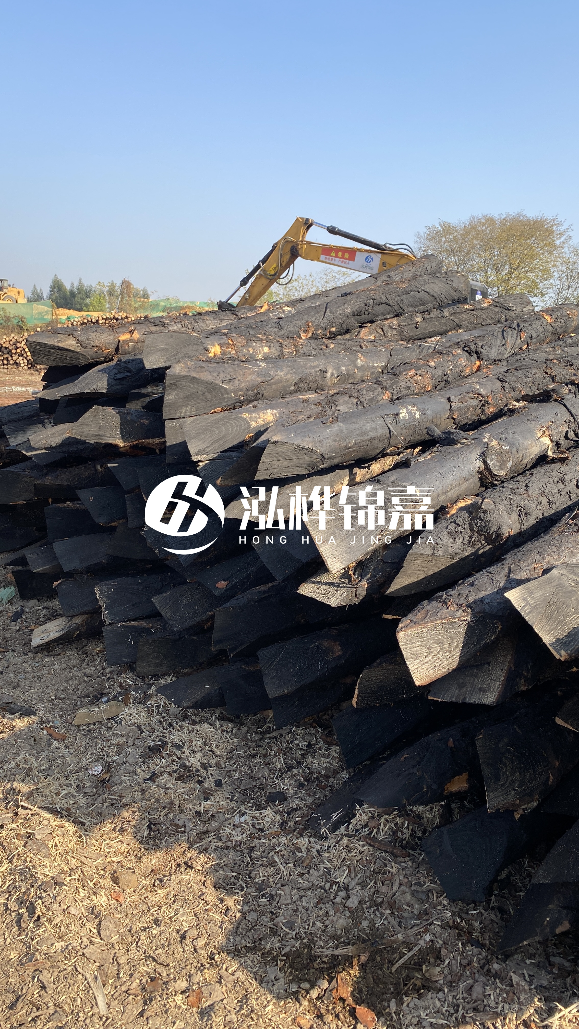 如何辨別優(yōu)質(zhì)的松木樁廠家？助你避開雷區(qū)！