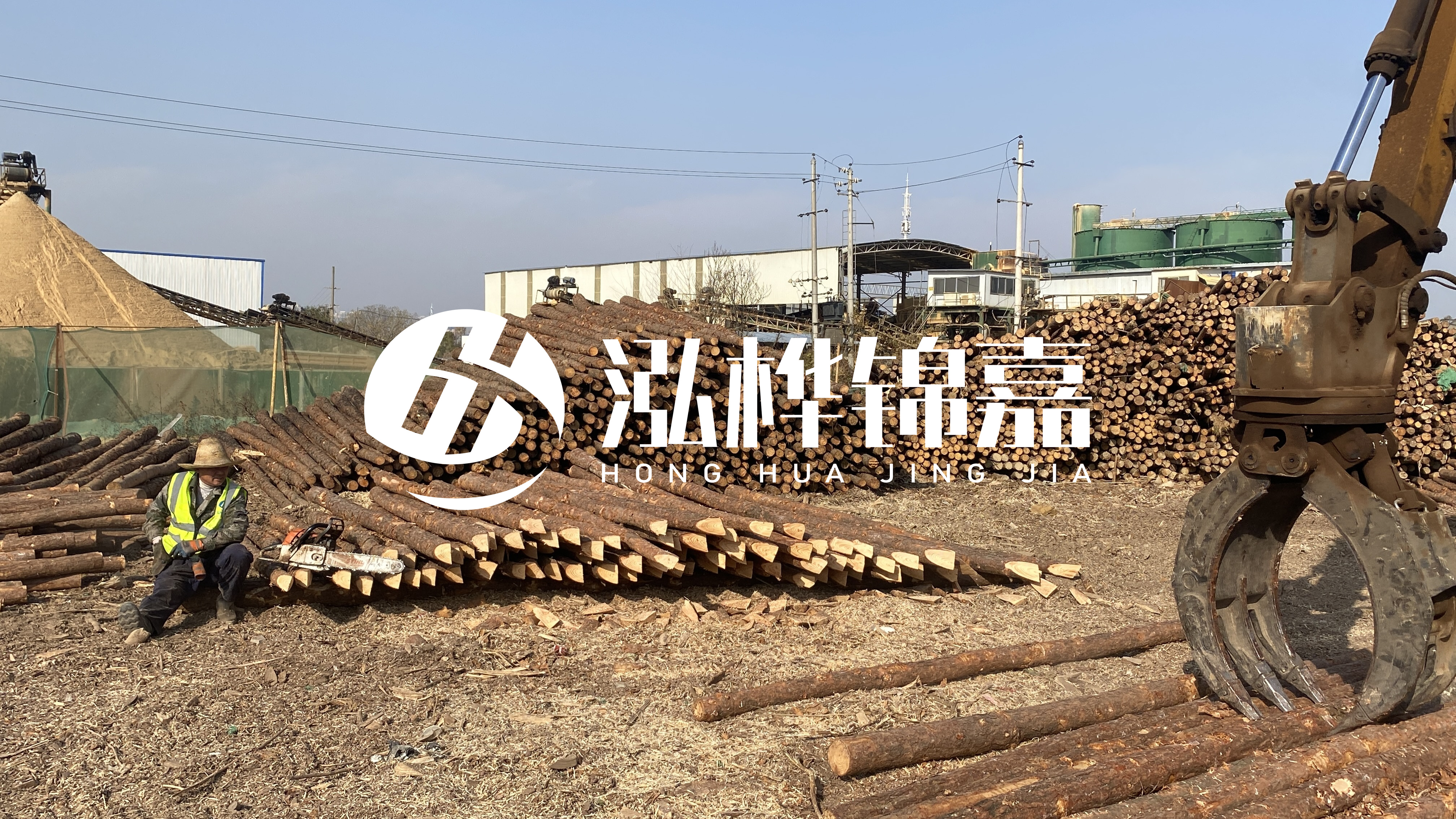 河道木材松木樁怎么選？松木樁源頭廠家告訴你！