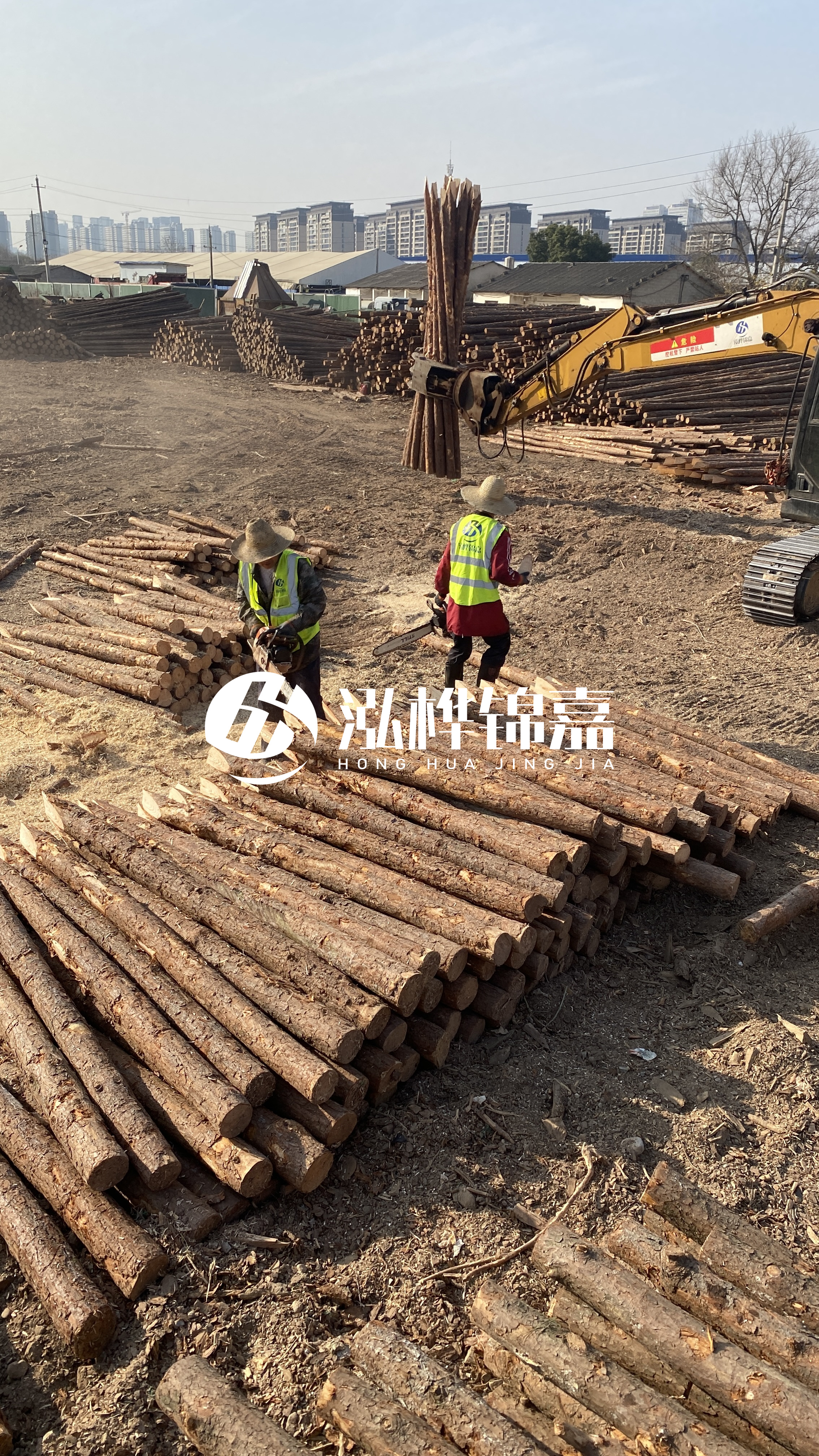 松木樁梢徑怎么測(cè)量？實(shí)用教程！一文教會(huì)你！