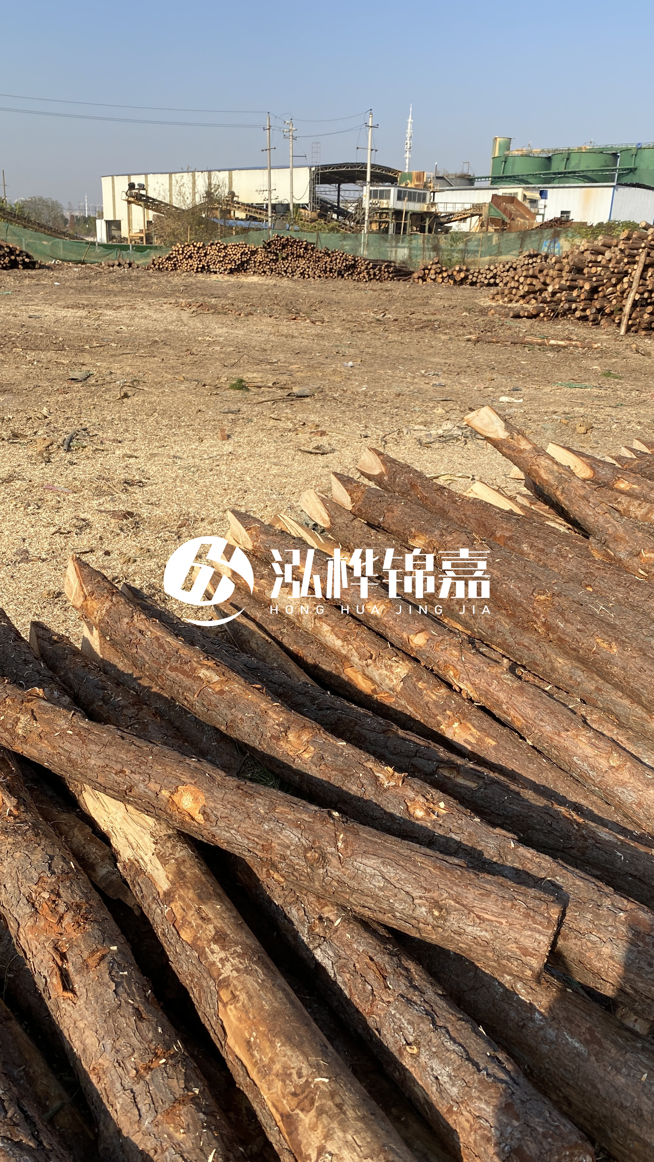 松木樁施工要找有資質(zhì)的嗎？松木樁施工背后門道多，看完就懂了！