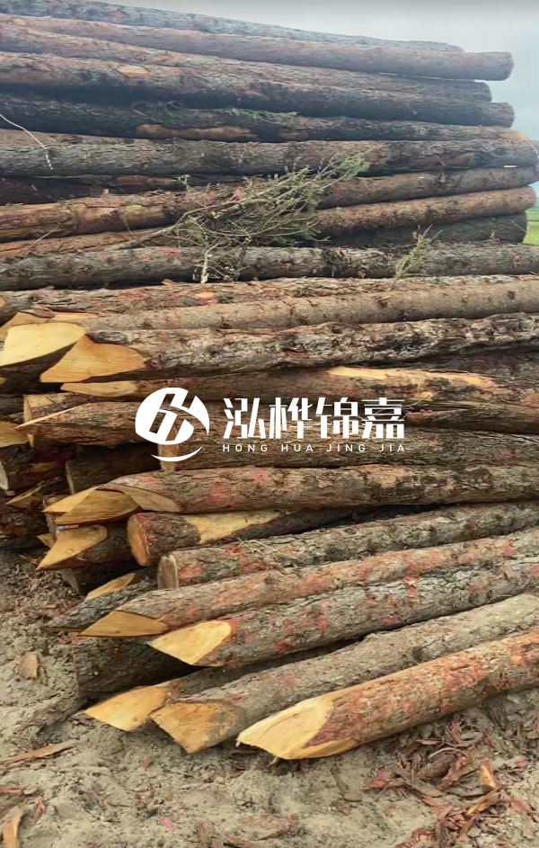 松木樁4米長尾徑14厘米價(jià)格是多少？一立方米有多少根？