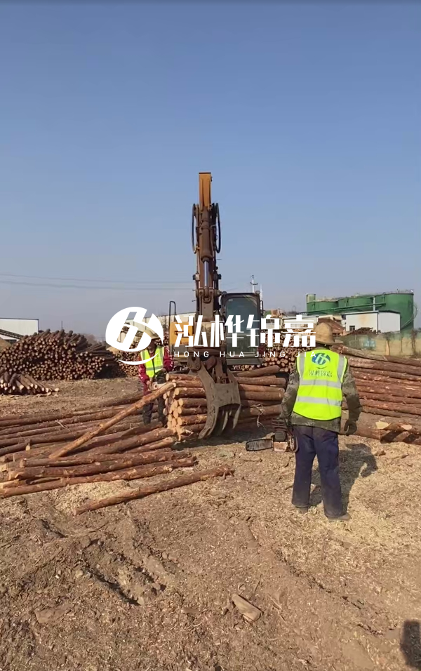 2025松木樁價(jià)格行情網(wǎng) | 實(shí)時(shí)報(bào)價(jià)/廠家直供/工程采購指南（附價(jià)格走勢(shì)圖）