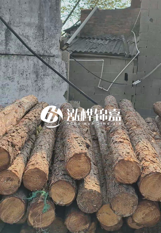 1.5米至2米長(zhǎng)松木樁價(jià)格表-10-12公分大概多少錢(qián)一根？