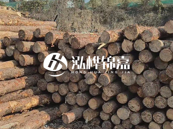 落葉松木材的主要產(chǎn)地在哪里？為什么比其他松木更耐腐蝕？