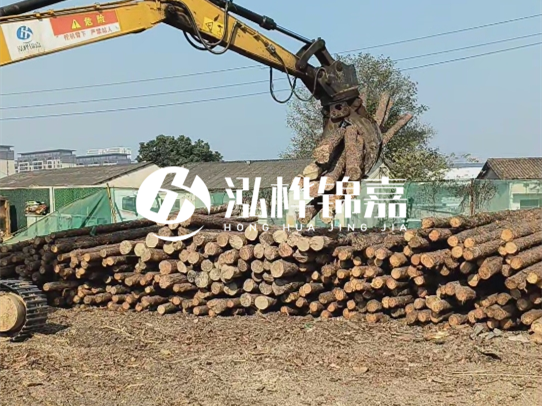 防汛木樁一般需要多高？如何確定長度？