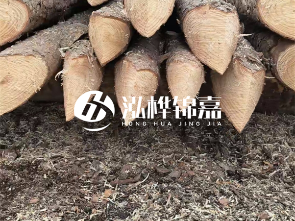 打樁木樁與鋼樁相比有哪些優(yōu)缺點？如何進行后期維護？