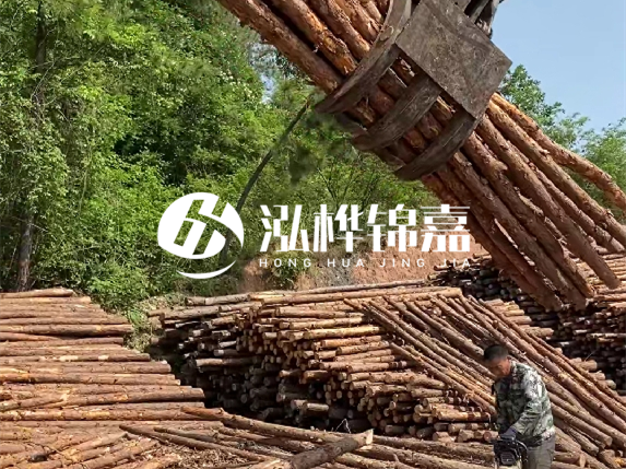 哪里能買到優(yōu)質(zhì) 3 米松木樁？長沙有松木樁批發(fā)工廠嗎？