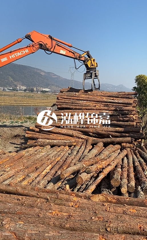 帶皮松木樁的防腐效果如何？和不帶皮松木樁價格差異有多大？