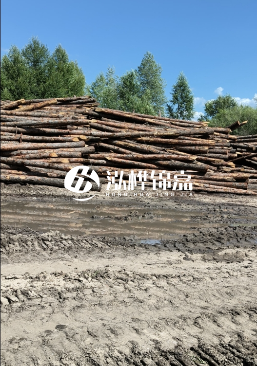 3米松木樁適合河道護坡嗎？小頭直徑8厘米的松木樁價格如何？