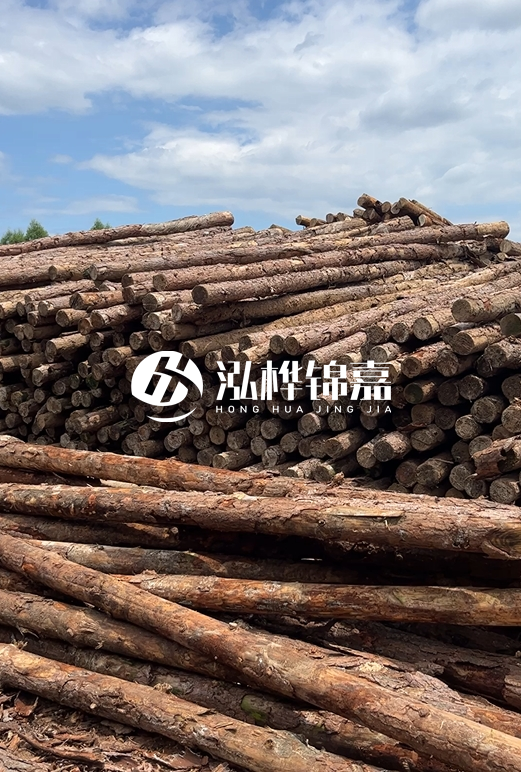 福建松木樁源頭廠家泓樺錦嘉-4.5米松木樁大頭15CM多少錢？