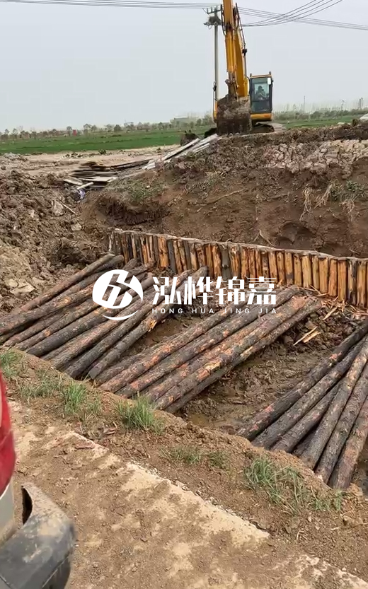 4米直徑12-13油松批發(fā)價(jià)最低多少？報(bào)價(jià)含稅含運(yùn)嗎？