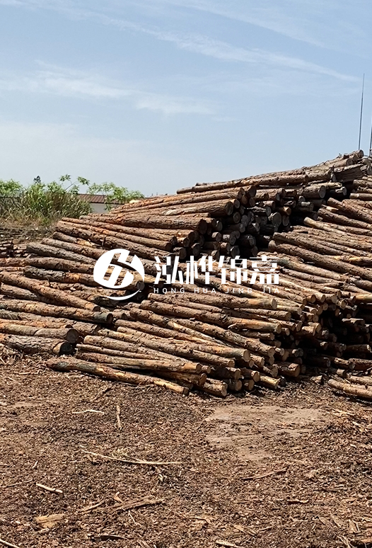 3.5米松木樁單價(jià)含稅怎么計(jì)算？碳化處理成本增加多少？