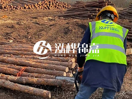 哪些木樁廠家能提供快速定制服務(wù)？哪些木樁廠家在國(guó)內(nèi)有多個(gè)生產(chǎn)基地？