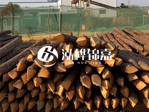 松木樁6米15cm打樁多少錢(qián)一根-專(zhuān)業(yè)打木樁隊(duì)聯(lián)系電話？