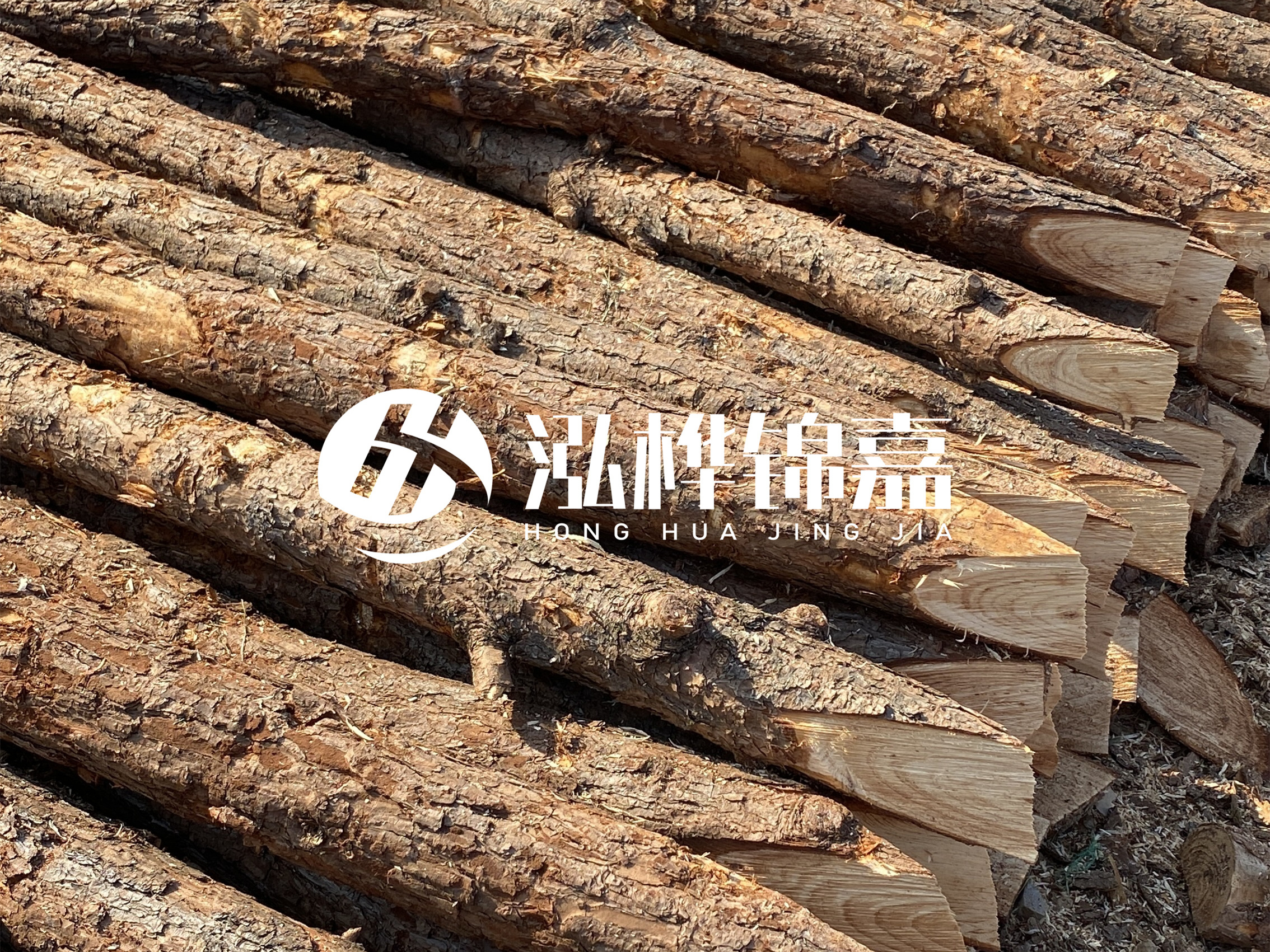 8 米超大直徑松木樁的價(jià)格是多少？帶皮和去皮松木樁價(jià)格差多少？