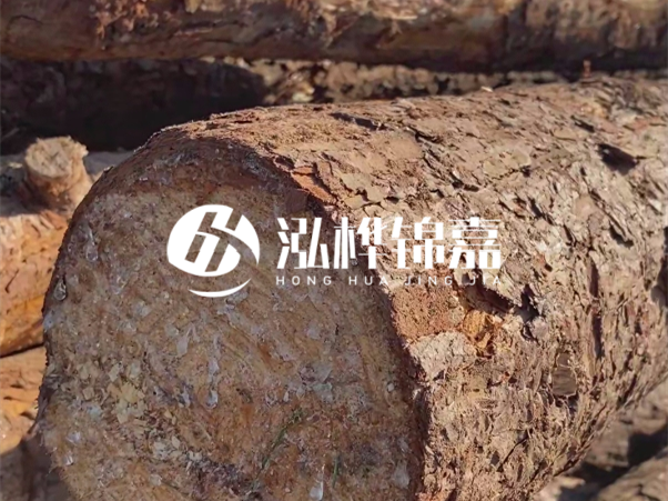 松木樁如何做到千年不腐的？松木樁打地基耐用年限揭秘