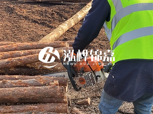 河道打木樁多少錢一根？5米直徑10松木樁打樁多少錢？