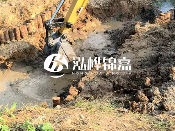 廣東松木樁批發(fā)廠家 - 3 米小頭 8CM 松木樁多少錢？