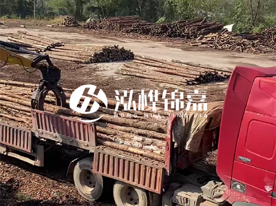 四川松木樁廠家泓樺錦嘉-哪一種打樁木最便宜？