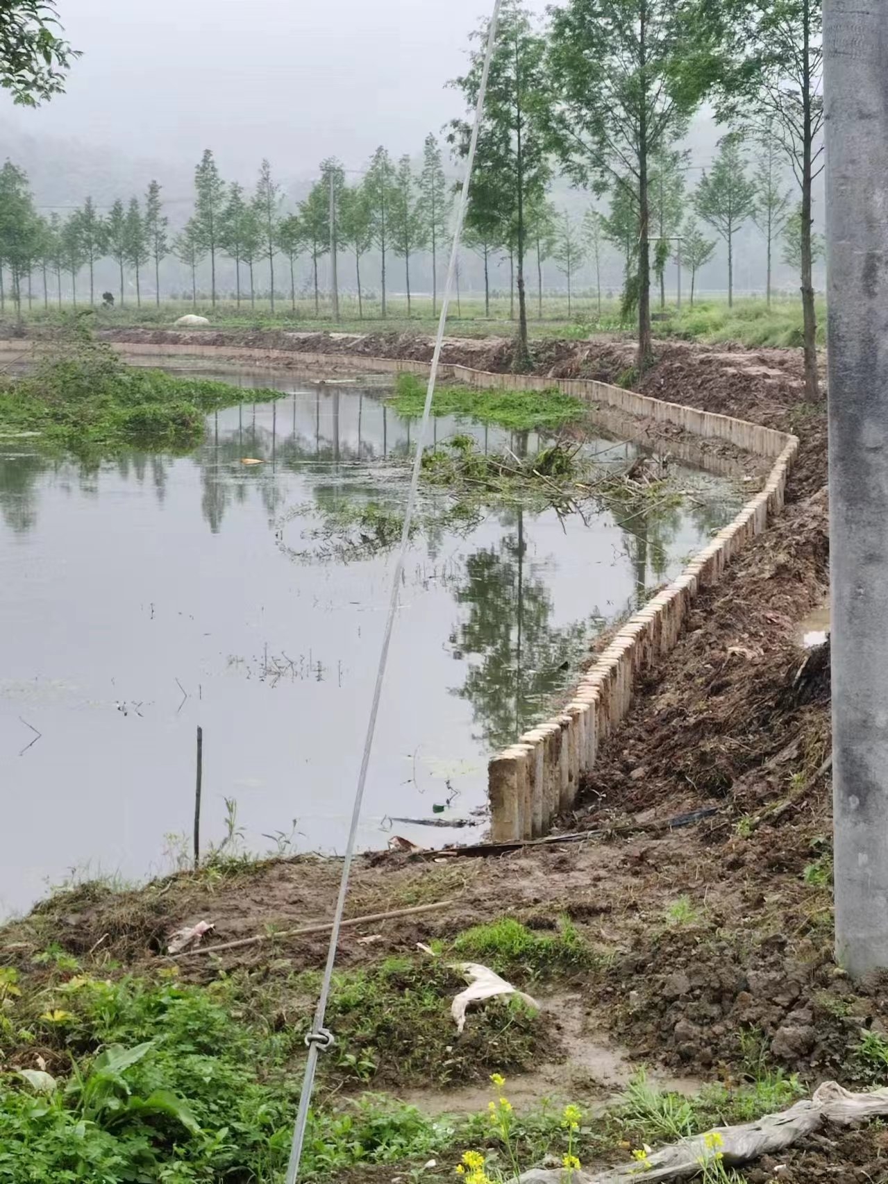 水泥仿木樁施工隊泓樺錦嘉 - 仿木樁施工多少錢一米？