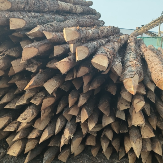 松木樁施工隊泓樺錦嘉 - 河道改造用什么規(guī)格的打樁木？