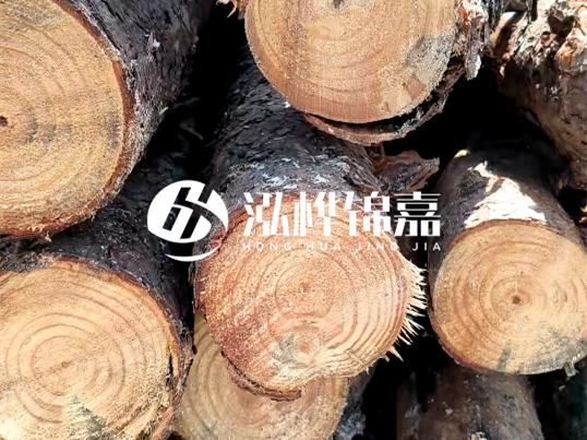 松木樁施工隊(duì)泓樺錦嘉 - 松木樁怎么檢測(cè)好壞？