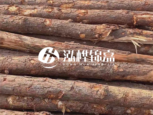 松木樁施工隊(duì)泓樺錦嘉 - 2 米長松木樁多少錢一根？