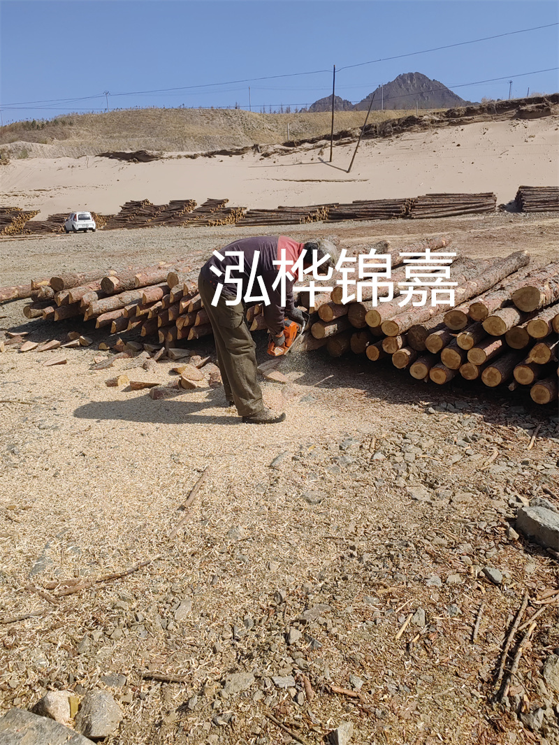 松木樁駁岸施工，打造水上風(fēng)景線